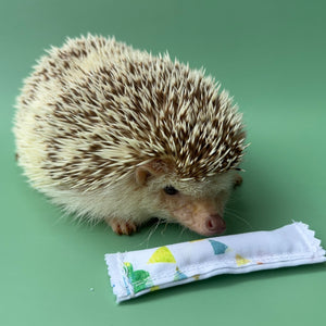 Enrichment hedgehog mint stick.