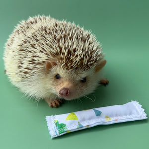 Enrichment hedgehog mint stick.