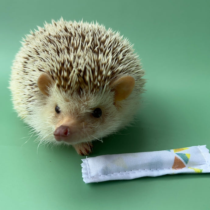 Enrichment hedgehog mint stick.