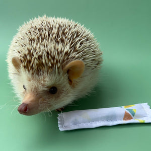 Enrichment hedgehog mint stick.