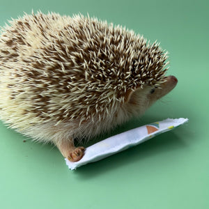 Enrichment hedgehog mint stick.