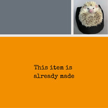 Load image into Gallery viewer, Hedgehog in plant pot coaster. Animal lover gift.