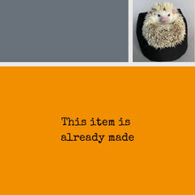 Load image into Gallery viewer, A5 Hedgehog in plant pot note book. 48-page A5 notebooks with full colour hedgehog cover.