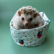 Load image into Gallery viewer, Hogs in pots mini bean bag photo prop.