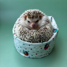 Load image into Gallery viewer, Hogs in pots mini bean bag photo prop.