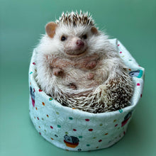 Load image into Gallery viewer, Hogs in pots mini bean bag photo prop.