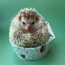 Load image into Gallery viewer, Hogs in pots mini bean bag photo prop.