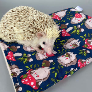 Hedgehogs with Mushroom Hats full cage set. Corner house, snuggle sack, tunnel set for hedgehogs